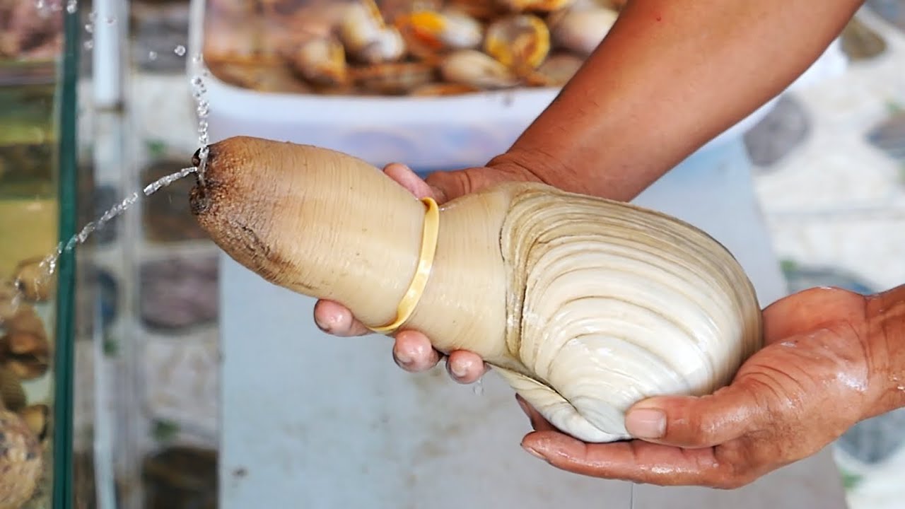 Гигант Моллюск геодак сашими Муйне морепродукты. Вьетнам