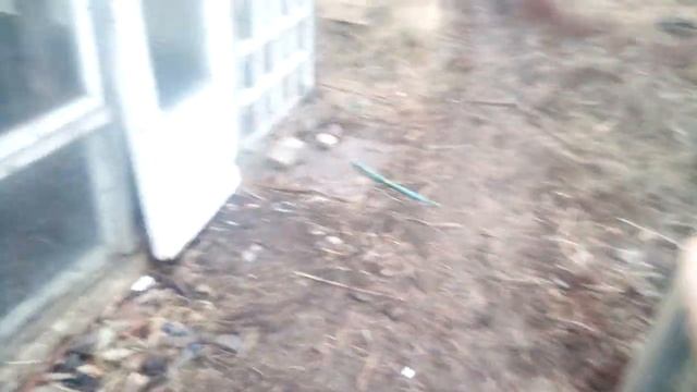 Обновка для теплицы... термометр... смотреть онлайн