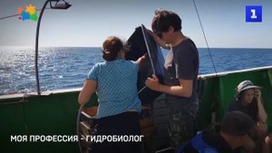 Моя профессия - гидробиолог