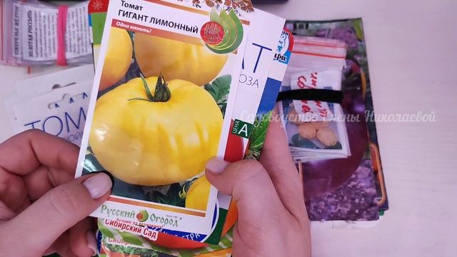 Эти ТОМАТЫ ЗАВАЛЯТ ВАС УРОЖАЕМ! Эти Томаты сметают пачками, коллекционные томаты и инденты 2023