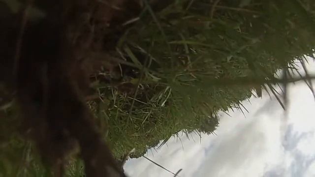 LWGP t3 crash смотреть онлайн