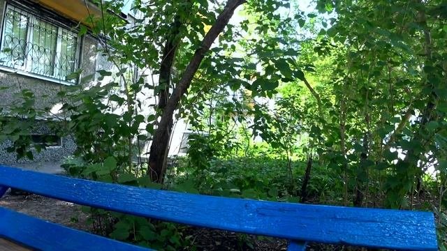 Перепродажа на Авито. С 5 к до скупки. Сколько заработал?