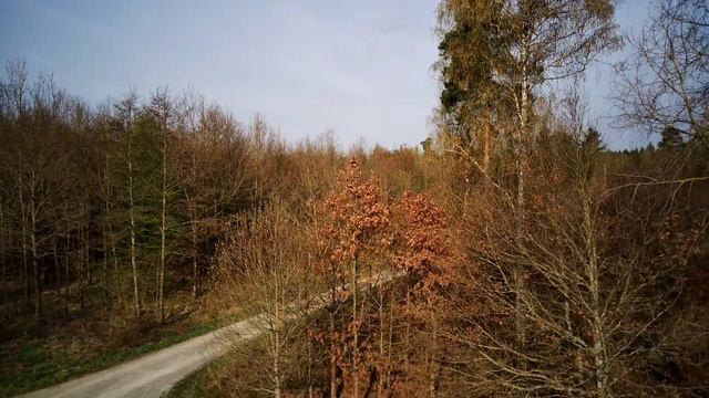 Am Ittersbacher Häslichweg смотреть онлайн