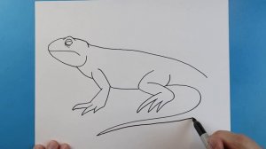 How to Draw a GREEN IGUANA