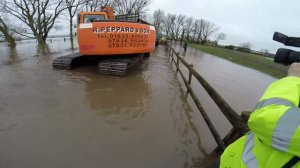 Somerset Floods: 550 cattle rescued from West Yeo Farm, Moorland: Shepton Mallet Journal