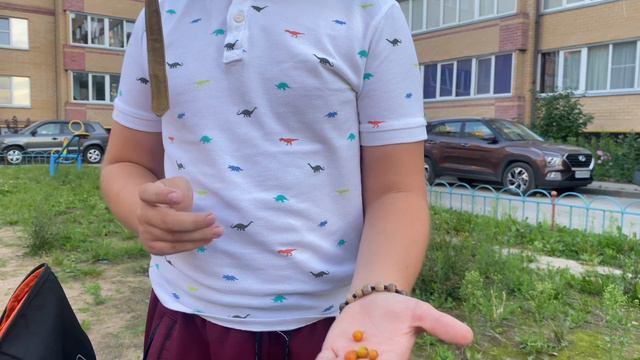 Начался зомби апокалипсис