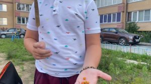 Начался зомби апокалипсис