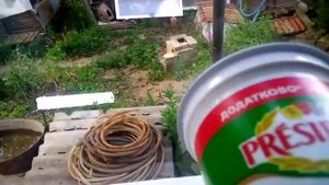 Как быстро и без проблем поймать в доме шмеля, муху, осу, пчелу.