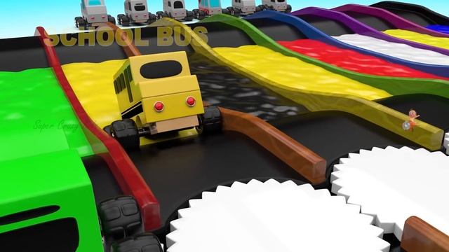 Woodenpecker Bird Soccer Balls Toy Set 3D Little Baby Learning Colors for Children Kids Educational