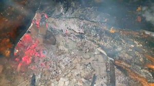 29.?ВЫЖИВАНИЕ В ЛЕСУ ЗИМОЙ В ДИКОЙ ПРИРОДЕ БЕЗ НИЧЕГО _ ТЕПЛОВАЯ ЧАША _ УЗВАР В ЗАМОРОЖЕННОМ ПНЕ