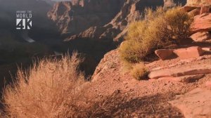 Большой каньон (Гранд Каньон) в формате 4K