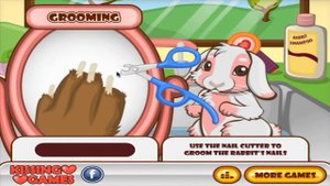 Игра "Уход за животными"