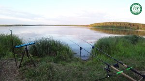 ПОЛОВИЛИ РЫБКИ! КРЮЧКИ ОВНЕР С ГЕРМАНИИ, ЛУЧШЕЕ ОТ КОМАРА И МОШКИ, ЭХО 4500 В ДЕЛЕ, РЫБАЛКА НА УРАЛЕ