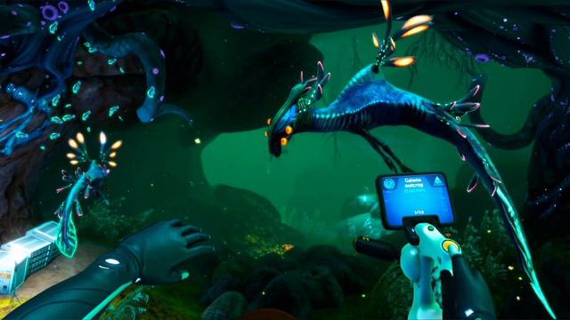 Пароль от комнаты капитана в subnautica