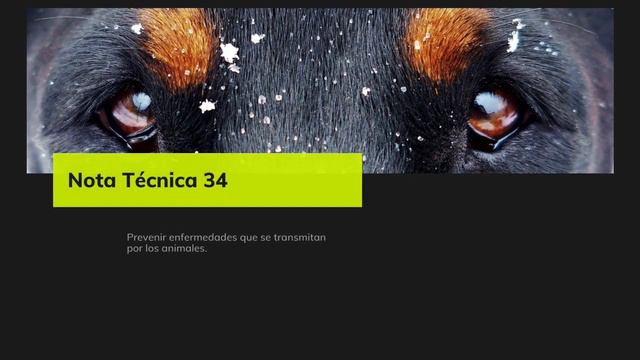 NOTA TÉCNICA # 34 смотреть онлайн