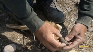 Как изготавливали стрелы в каменном веке? Часть 2.