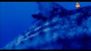 На дне бермудского треугольника найдены 2 гигантские #ПИРАМИДЫ