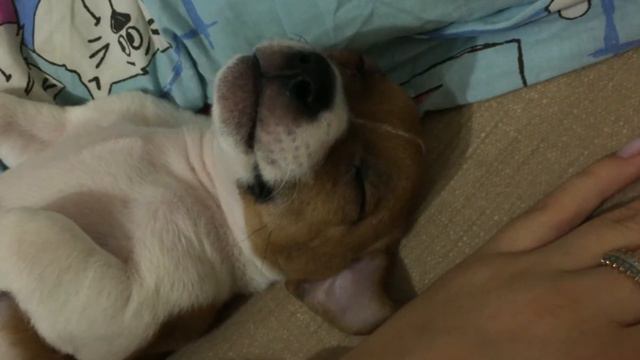 VLOG | ВОСПОМИНАНИЯ ИЗ ЛЕТА | ТЕПЕРЬ НАС ТРОЕ! смотреть онлайн