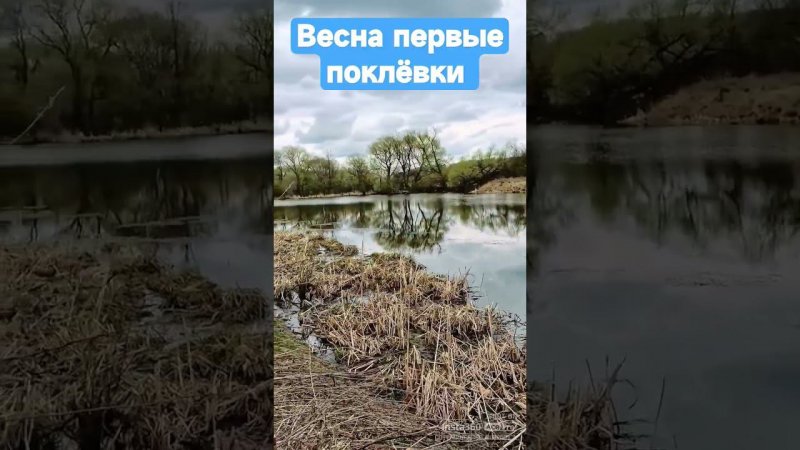 Весна первые поклёвки #голосаптиц #рыба #рыбалка #щука #fishing #carpfishing #природа