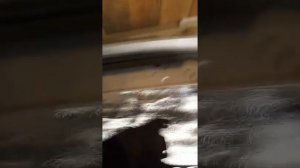 Ставим решетка радиатора на лада весту без значка