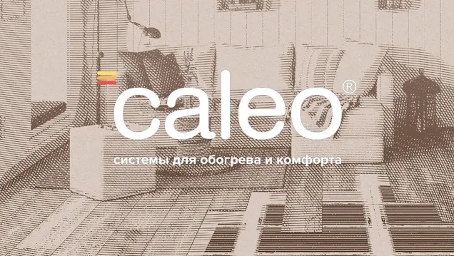 Мы, компания CALEO