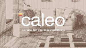 Мы, компания CALEO