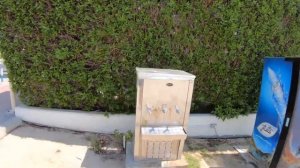 Пляж Альмамзар на границе Шарджи и Дубая.Лучший пляж в Дубае.Едем своим ходом.Подробный обзор…