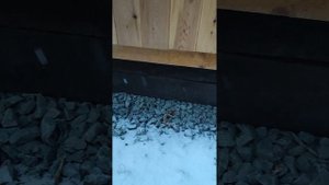 Как Защитить Дачную Беседку - от Снега