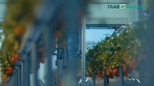 Сельскохозяйственный робот AGROBOT Robotic Strawberry Harvester