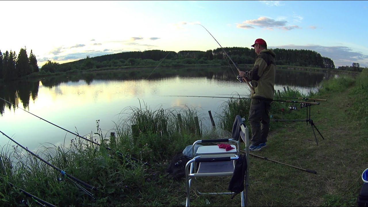 Рыбалка на карася и карпа на пруду.Карась на донку.Летняя рыбалка.Насадка на Карася. смотреть онлайн