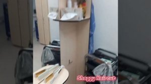 Стрижка Шегги