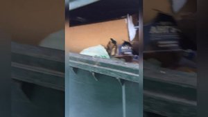 Находки на мусорках Москвы/Что можно найти в мусорном баке ЖК Новые Ватутинки/Кухонный гарнитур