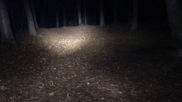 Led Bi-Лінза vs Bi-Xenon на Lifan LF150-2E SityR 200 смотреть онлайн