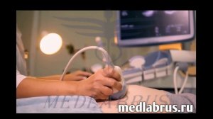 2 триместр беременности: изменения, развитие плода и рекомендации