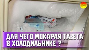 Зачем класть мокрую газету в холодильник?