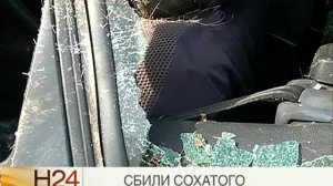 На окружной дороге иномарка сбила лося