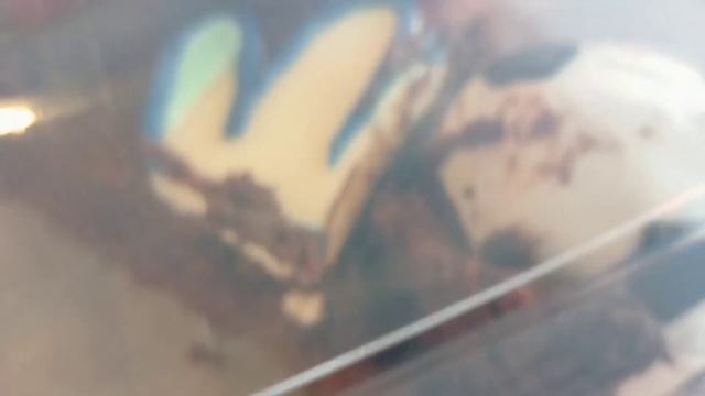 25 апреля 2022 г.в итальянском ресторане смотреть онлайн