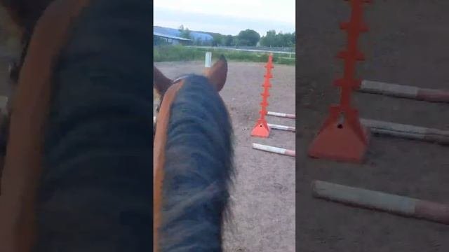 Вечером с Джуном. Прохладно.