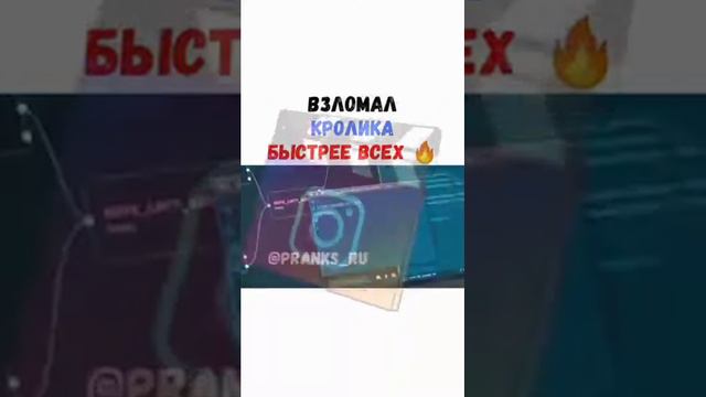 взломали кролика быстрее всех