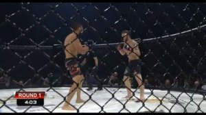 Academy MMA CUP. Mikhail Adzintsou vs Cadena Martins