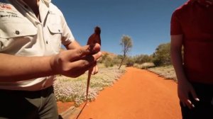 Alice Springs Desert Park, Alice Springs Region