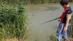 Рыбалка в Дагестане Ловим Сомят Канале