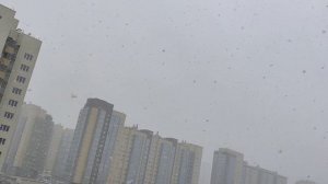 майский снегопад - вот это дааа