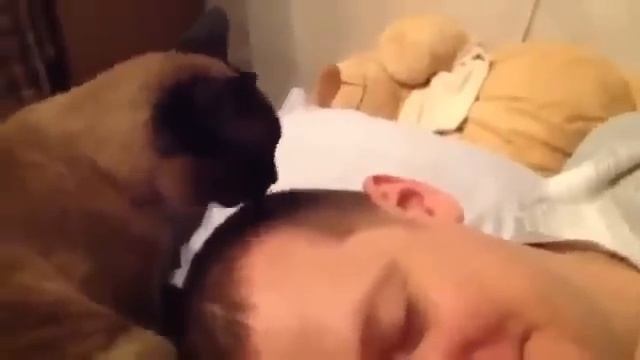 Модная укладка от котяры смотреть онлайн