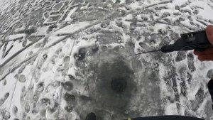 Супер-рыбалка на балансир. Судак на балансир со льда.