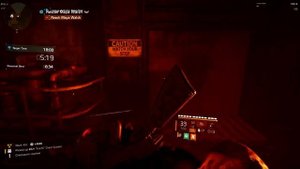 *TRY THIS LADY DEATH BUILD NOW* 120% Amplified Damage with Double Companion! - The Division 2 Build