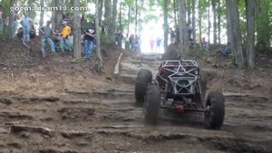 лучшее баги мира