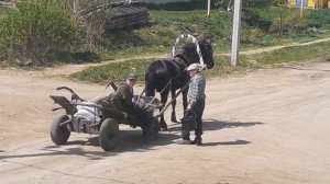 Лошадь с повозкой около моего дома .