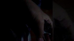 Как приручить и ухаживать за дикой мышью