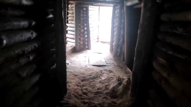 Отправились в лес за шишками, а нашли что-то интереснее смотреть онлайн